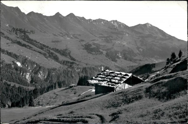 Achseten bei Frutigen - Blick auf Niesenkette Vorderseite