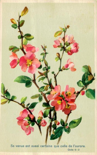 L'aurore Vorderseite