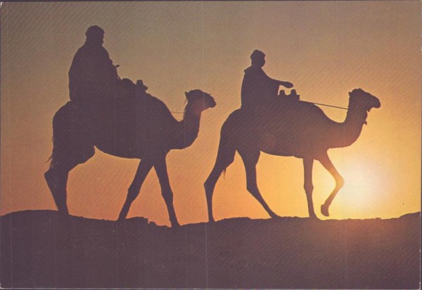 Tunisie - Retour du Sahara Vorderseite