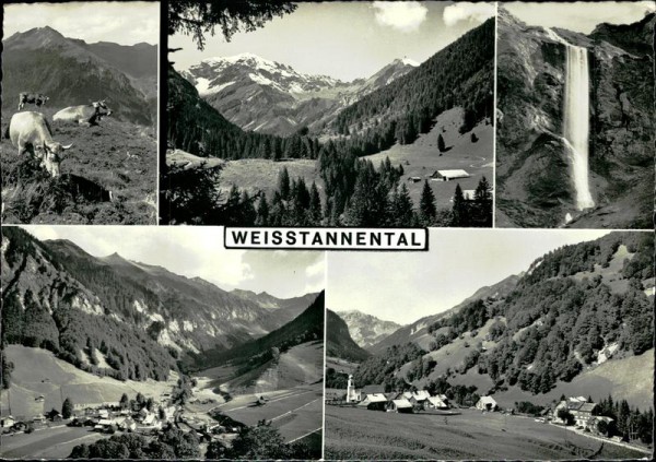 Weisstannental Vorderseite