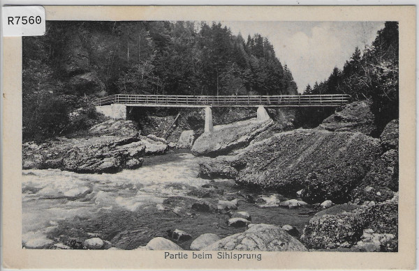 Partie beim Sihlsprung