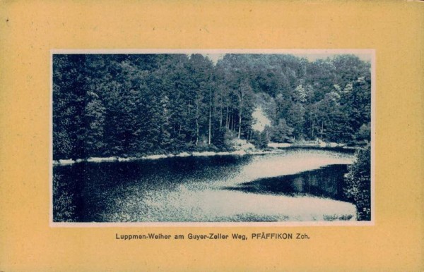 Luppenmen-Wehier am Guyer-Zeller Weg, Pfäffikon ZH Vorderseite