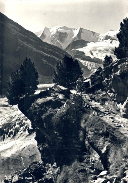 Piz Palü Vorderseite