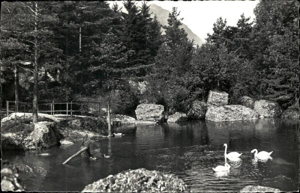 Goldau Vorderseite