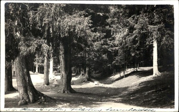 Lenzerheide/Lai Vorderseite