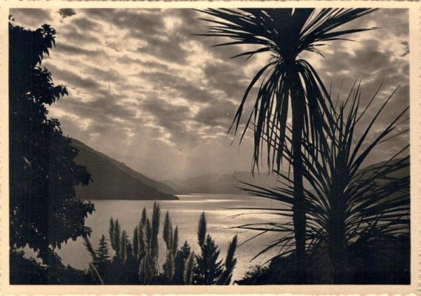 Brissago, Lago Maggiore. Ausblick v. Brenscino Vorderseite