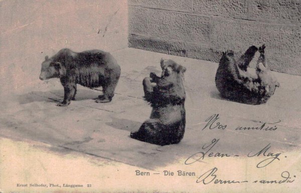 Bern - Die Bären Vorderseite