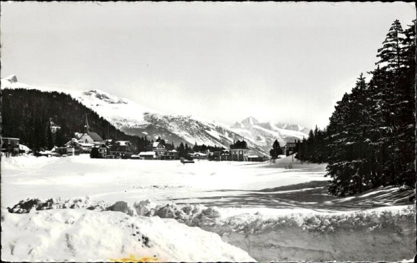 Montana Vorderseite