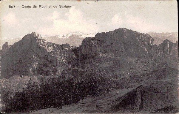 Dents de Ruth et de Savigny Vorderseite