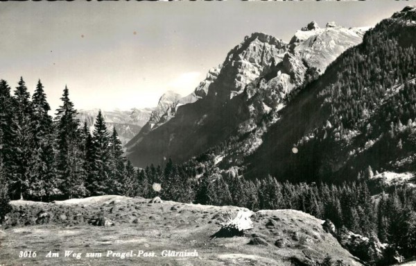 Am Weg zum Pragelpass, Glärnisch Vorderseite