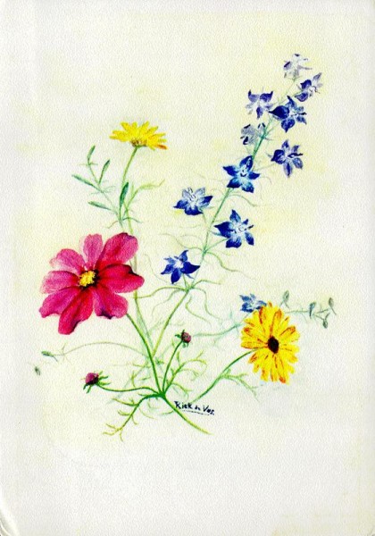 Cosmea und Rittersporn Vorderseite