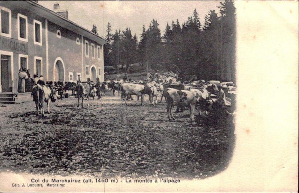 Col du Marchairuz - La montée à l'alpage Vorderseite