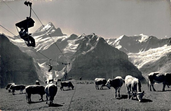 Bergbahn Grindelwald- First, Schreckhorn Fiescherwald Vorderseite