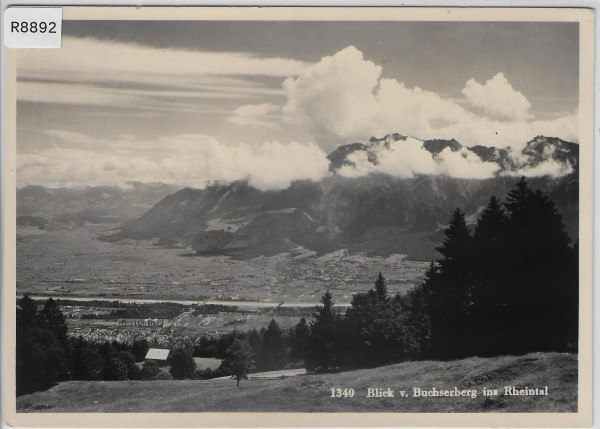 Blick v. Buchserberg ins Rheintal