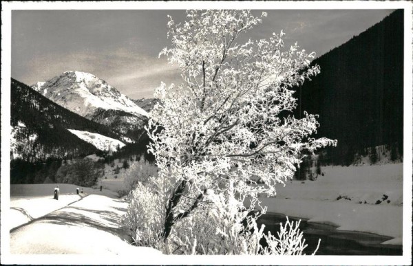 Wintermorgen am Bach (Rauhreif, Davos) Vorderseite