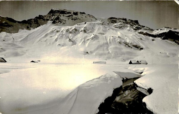 Adelboden, Engstligenalp, Schneelandschaft mit Wildstrubel Vorderseite