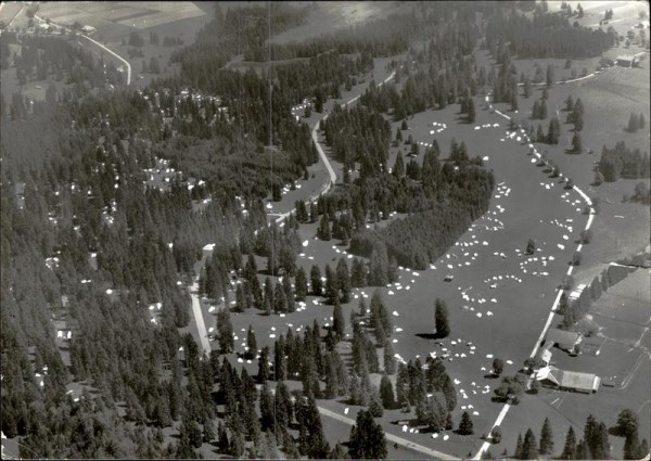 Franches Montagnes, Camp National 1956 Vorderseite