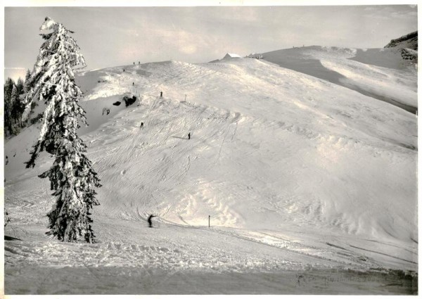 Tanzboden Vorderseite