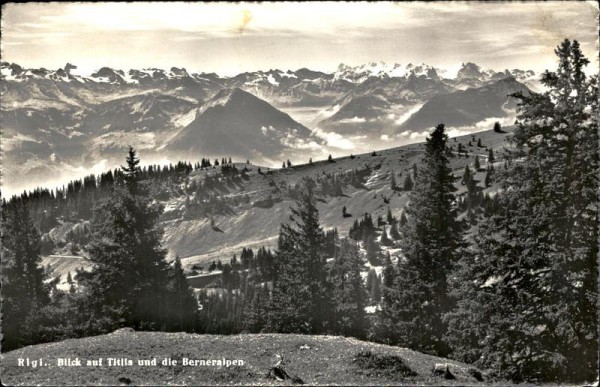 Berneralpen Vorderseite