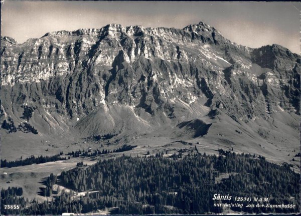 Säntis mit Aufstieg von der Kammhalde Vorderseite