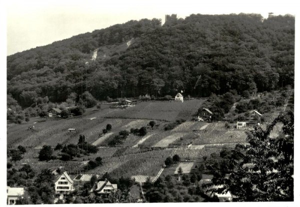 Muttenz, Rebberg am Wartenberg Vorderseite