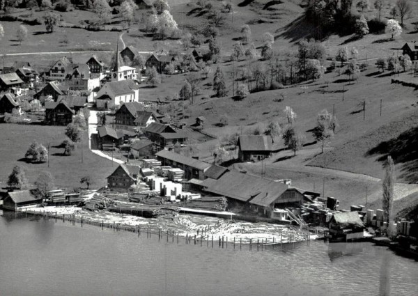 Greppen am Vierwaldstättersee - Flugaufnahmen Vorderseite