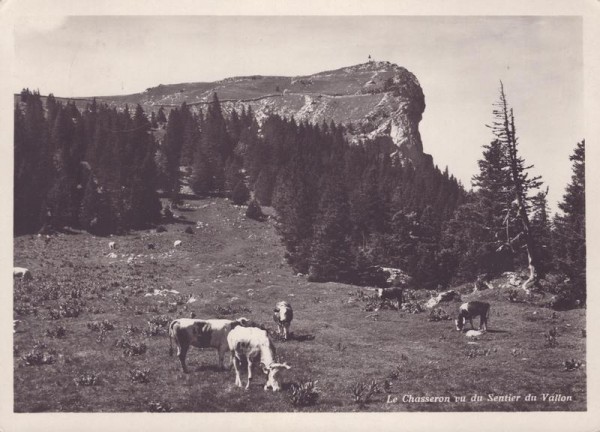 Le Chasseron vu du Sentier du Vallon Vorderseite