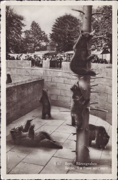Bern - Bärengraben