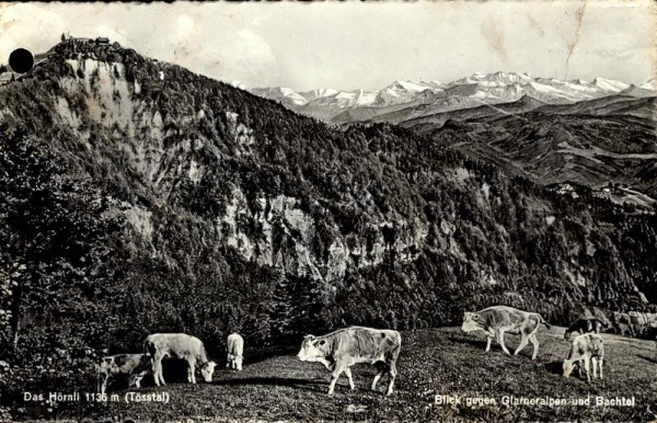 Das Hörnli mit Blick gegen Glarneralpen und Bachtal Vorderseite
