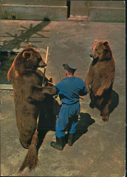 Bärenpark Bern Vorderseite