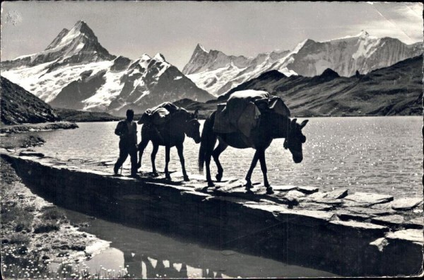 Bachalpsee Vorderseite
