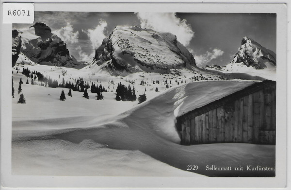 Sellenmatt mit Kurfürsten im Winter en hiver Churfirsten