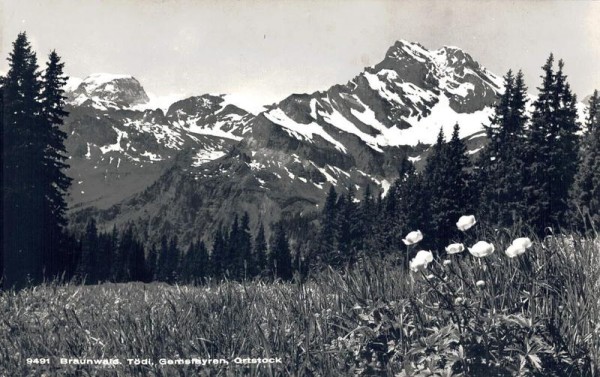 Braunwald, Tödi, Gemsfayren, Ortstock Vorderseite