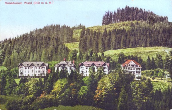 Sanatorium Wald (910m)
