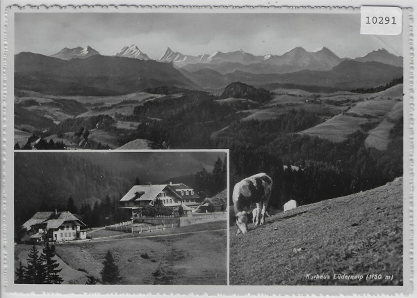 Kurhaus Lüdernalp - Kühe vaches cows