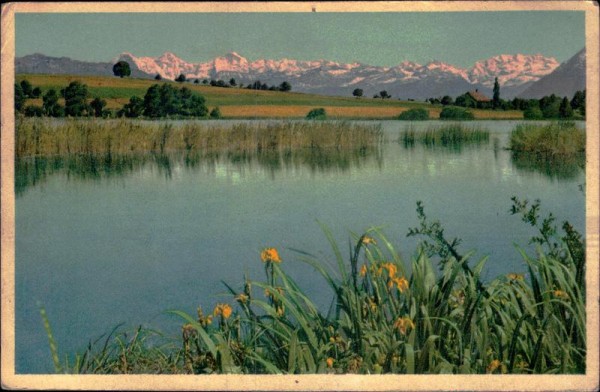 Gerzensee mit den Berner Alpen Vorderseite