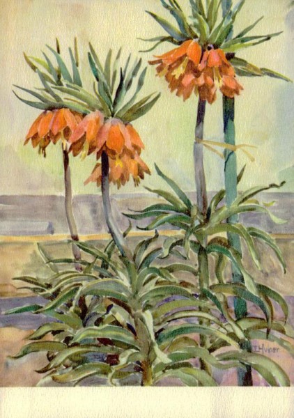 Kaiserkrone Vorderseite