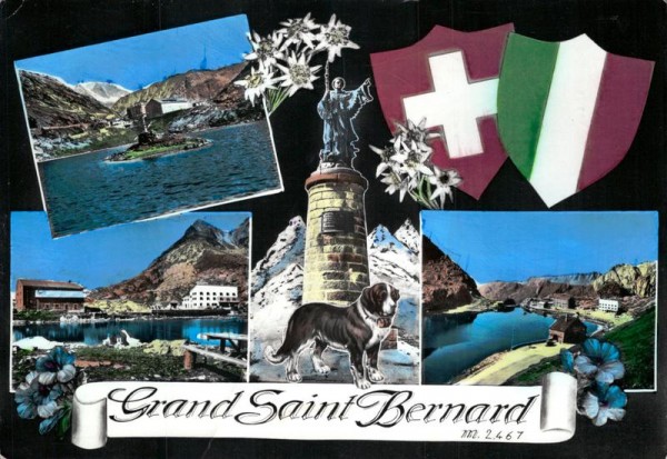 Grand Saint Bernard Vorderseite
