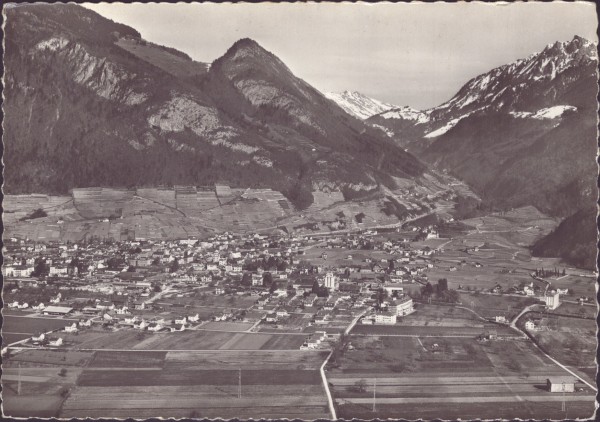 Aigle
