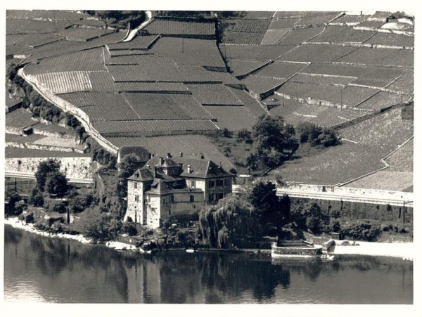 1071 Saint-Saphorin VD, Route du Lac 27 -Cave du Château de Glérolles Vorderseite