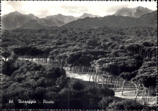 Viareggio Vorderseite