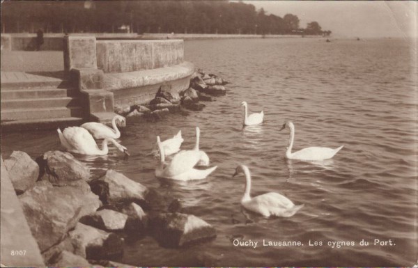 Lausanne