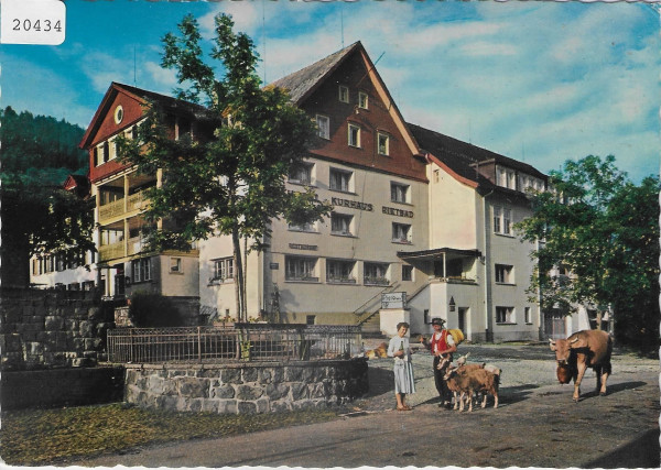 Hotel Kuhaus Rietbad - Ziegen, chevres, goat