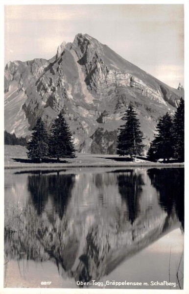 Gräppelensee mit Schafberg, Ober-Toggenburg Vorderseite
