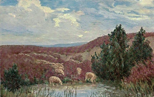 Schafherde  Vorderseite