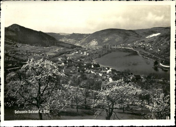 Sebuein-Salesel a.Elbe Vorderseite