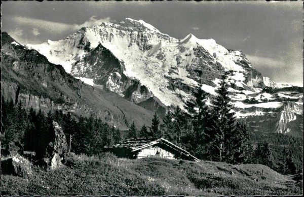 Wengernalp (1877 m) mit Jungfrau Vorderseite