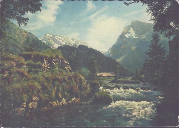 Obertoggenburg Vorderseite