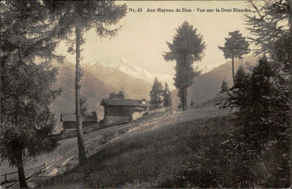 Sion Vorderseite