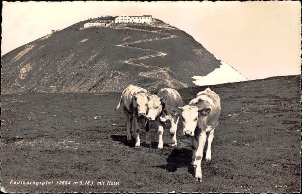 Faulhorngipfel (2684 m) mit Hotel Vorderseite